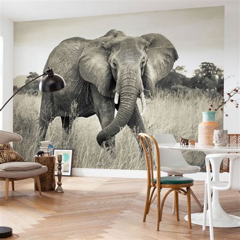 Fototapete Vliestapete Elephant Wall Art De