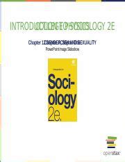 Openstax Sociology E Ch Pptx College Physics Introduction To