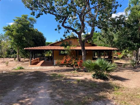 Fazenda Sítio 34000 m² em Aruanã por R 1 100 000 Viva Real