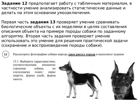 Подготовка к ВПР по биологии 8 класс - биология, презентации