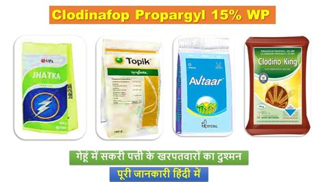 Clodinafop Propargyl 15 Wp Uses In Hindi Lucifer Jhatka Point