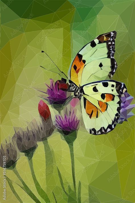 Schmetterling Auf Distel Bl Te Sommer Im Wald Vektor In Low Poly Art