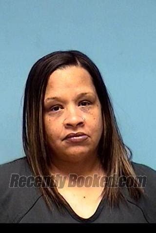 Recent Booking Mugshot For ERIKA M HOSKINS In Lorain County Ohio