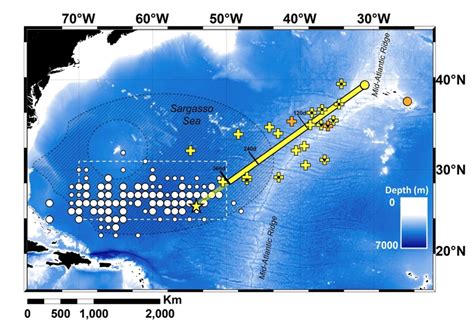 This map solves a century-old mystery about eels - Big Think