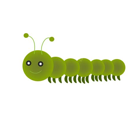 Cute Caterpillar In Green Color Caterpillar Caterpillar Vector