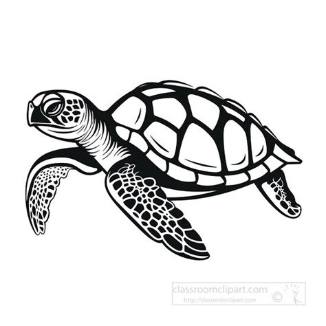 Animal Outline Clipart-green turtle black outline printable clip art