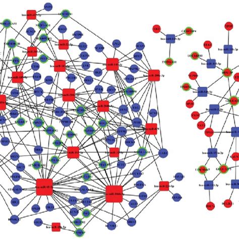 The LncRNA MiRNA MRNA CeRNA Network Downregulated MiRNAs Blue