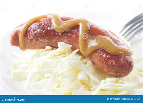 Bratwurst on Cabbage stock image. Image of bratwurst - 19700871