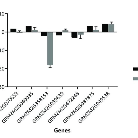 Quantitative Real Time Pcr Analysis Of Average Gene Expression N 3