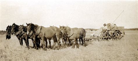 Flour milling - Greenough Museum and Gardens