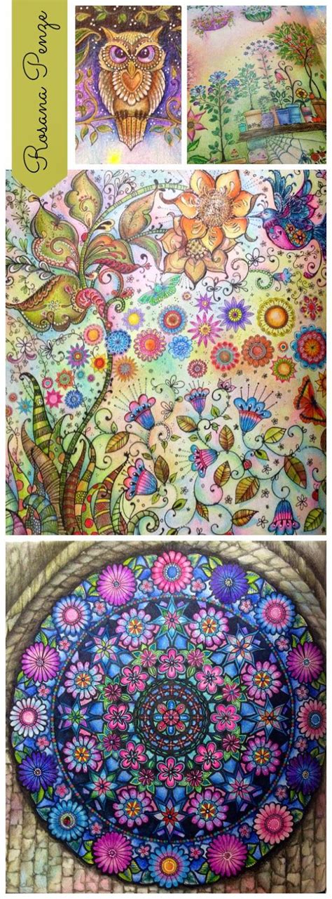 Secret Garden Coloring Book Coloring Book Art Colouring Pages Adult Coloring Pages Secret