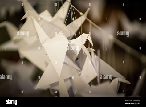 Japanese Folded Origami Cranes Hanging On With Strings Hundreds