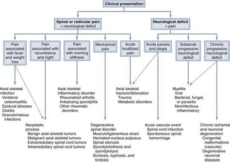 Differential Diagnosis And Initial Management Spine Pathology