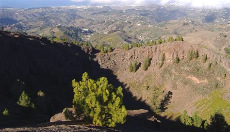 Ruta Del Queso De Fontanales Gran Canaria Caminantes De Aguere