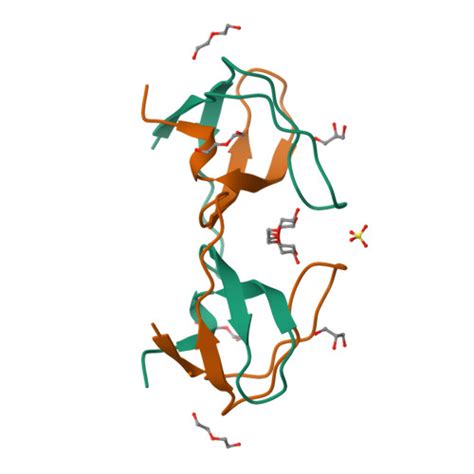 Rcsb Pdb Omm Crystal Structure Of The Intertwined Dimer Of The C