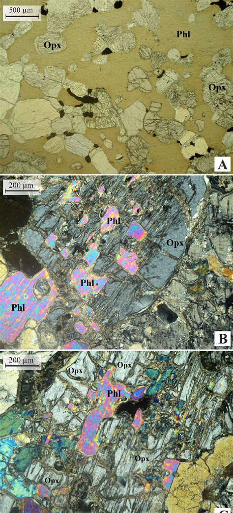 The Photomicrographs Of Thin Section The Character Of The Metasomatic