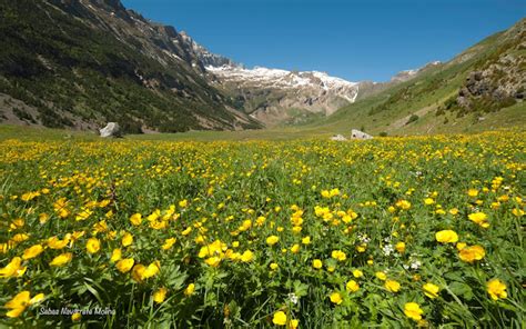 Instantes Fotos De Sebasti N Navarrete Primavera En El Valle De Otal