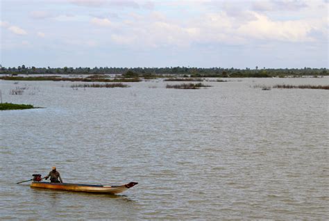 Assessing The Potential Of Nature Based Solutions And Green