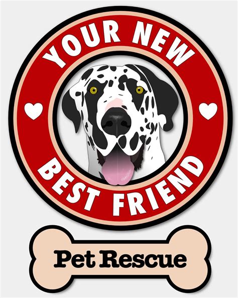Your New Best Friend Pet Rescue