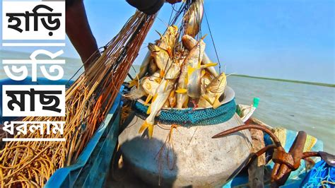 প্রতি বড়শীতে বড়শিতে মাছ।মাছে হাড়ি ভরে গেল। Fishing Video In River