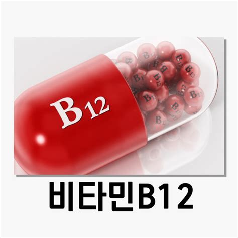 비타민b12 과잉 효능 권장량 알아보기