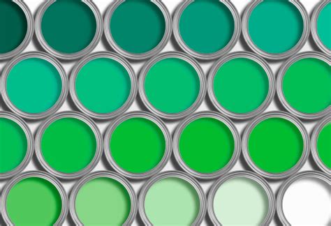 green paint pictures   images  unsplash