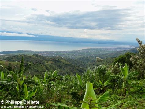 Bujumbura Lake Tanganyika Burundi