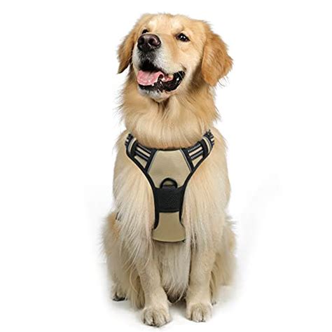 Arnes Artesanales Para Perros La Lista Indiscutible Para Comprar En