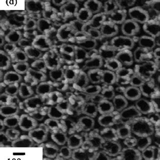 Fe Sem Top View Images Of Porous Titanium Oxide Films Anodized In