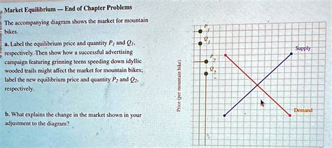 Solved Market Equilibrium End Of Chapter Problems The Accompanying