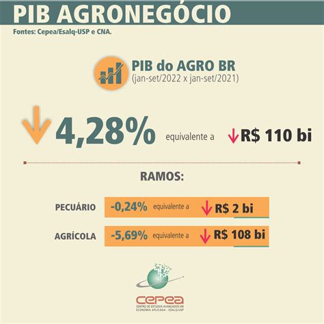 Pib Do Agroneg Cio Brasileiro Centro De Estudos Avan Ados Em Economia