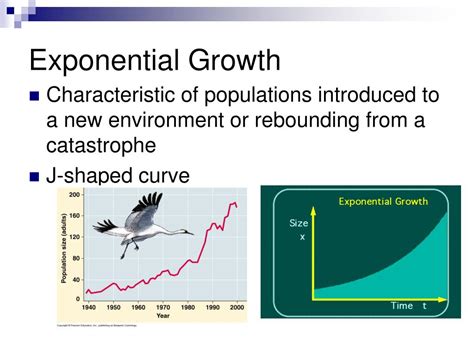 Ppt Population Ecology Powerpoint Presentation Free Download Id1822150