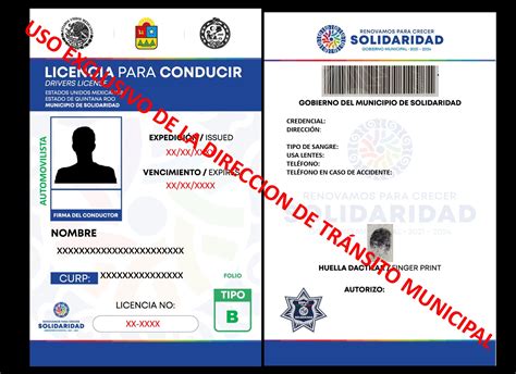 Licencia De Conducir En Cancún Quintana Roo 2024 Autofact