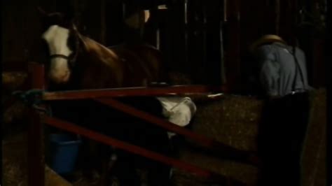 Hardcore He Needs Their Help