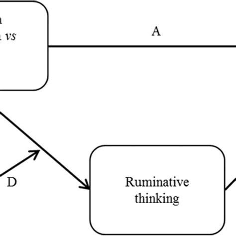 Hypothesized Conditional Process Model Illustrates The Conceptual Model