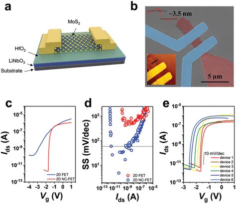 2D MoS2 NCFET Heterostructure And Device Electrical Characterization