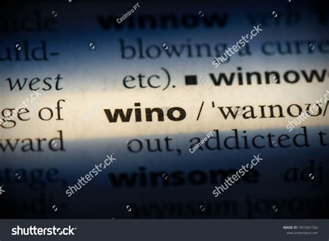 wino word dictionary wino concept definition stock photo