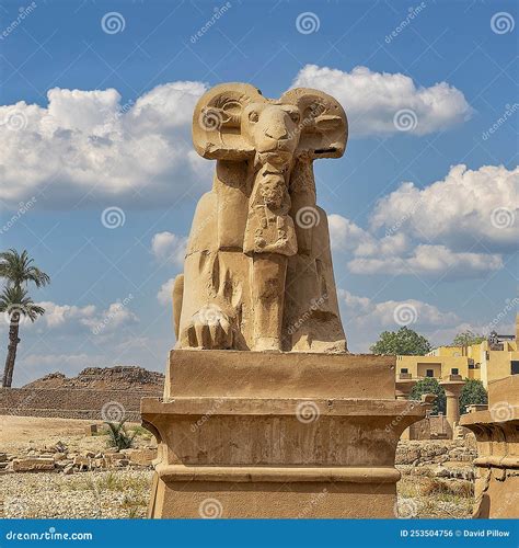 Closeup Of A Sphinx On The South Side Of The Avenue Of Sphinxes Leading