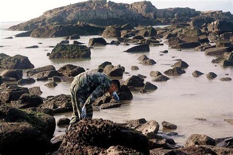 大梅赶海捡海螺大梅赶海大海螺大山谷图库