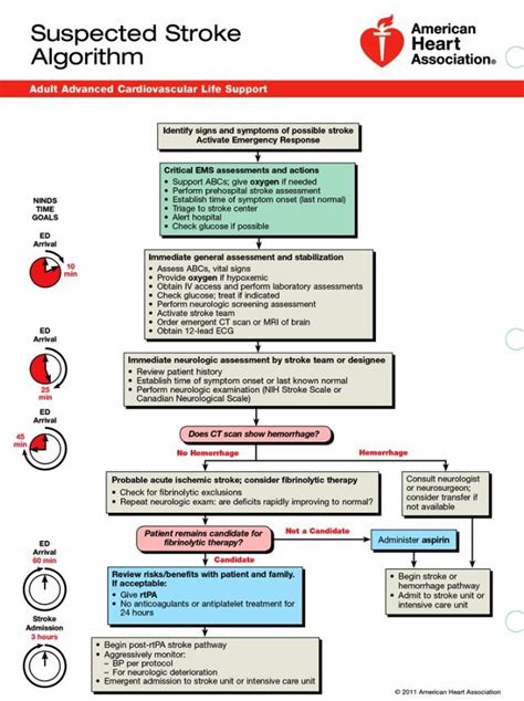 Stroke Algorithm Acls Emergency Medicine Acls Algorithm