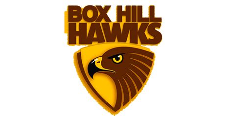 Box Hill Hawks Tickets Intix