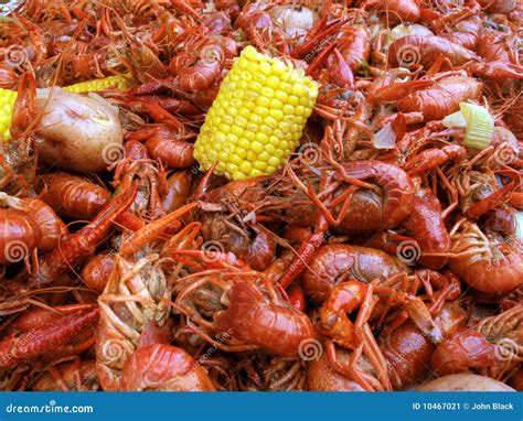 Boiled Crawfish Stock Image Image Of Crawdad Crustacean 10467021