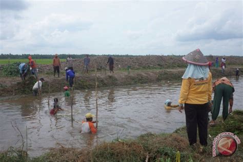 Kementerian Pupr Alokasikan Rp Miliar Program Padat Karya Tunai