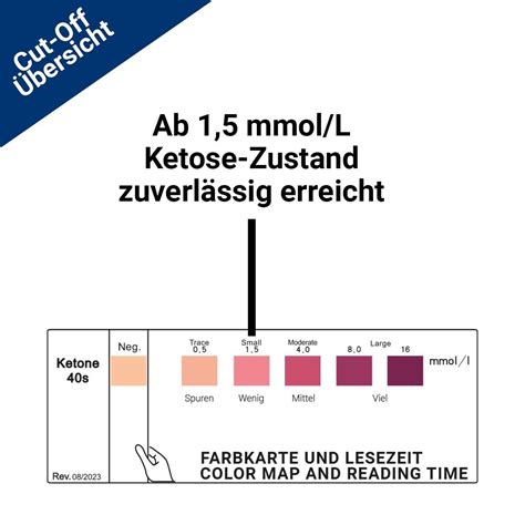 X Ketose Teststreifen I Keton Test Keto Ern Hrung Di T Ketosticks