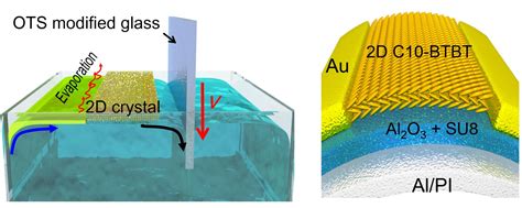 External Force Driven Solution Epitaxy Of Large Area D