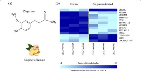 a Chemical structure of zingerone [4-(4-hydroxy-3-methoxyphenyl ...