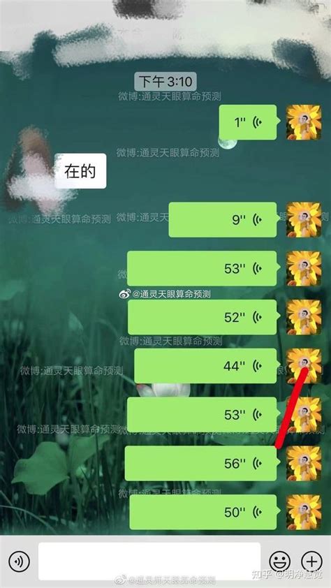 最适合的结婚对象 知乎