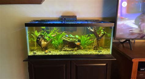 My Planted Gal Finally Complete R Aquariums