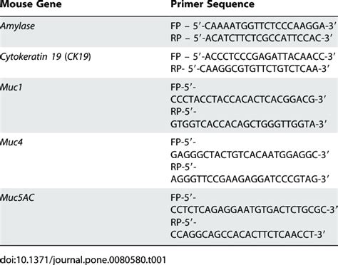 Primer Sequences Used For Real Time Pcr Analysis Download Table