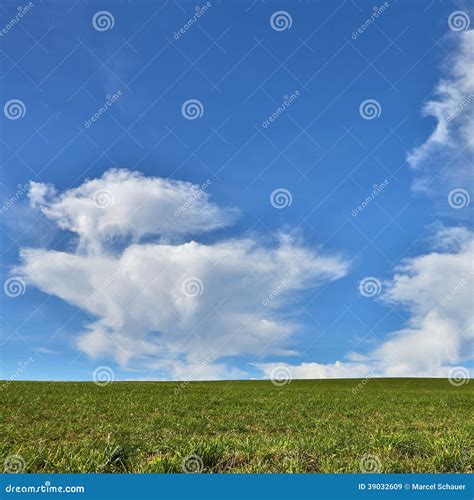 Green Grass And Blue Sky Stock Image Image Of Clear 39032609